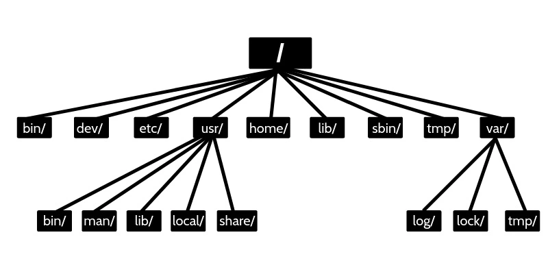 The Linux filesystem and directory structure every Linux user should know